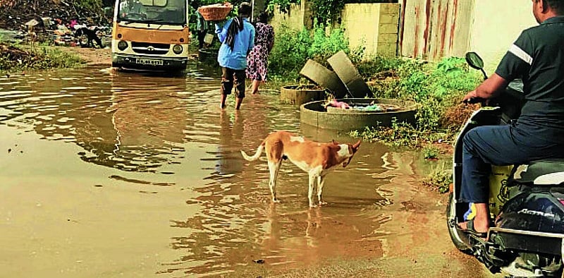 Photo from Prajavani