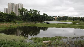 Photo: Prajavani
