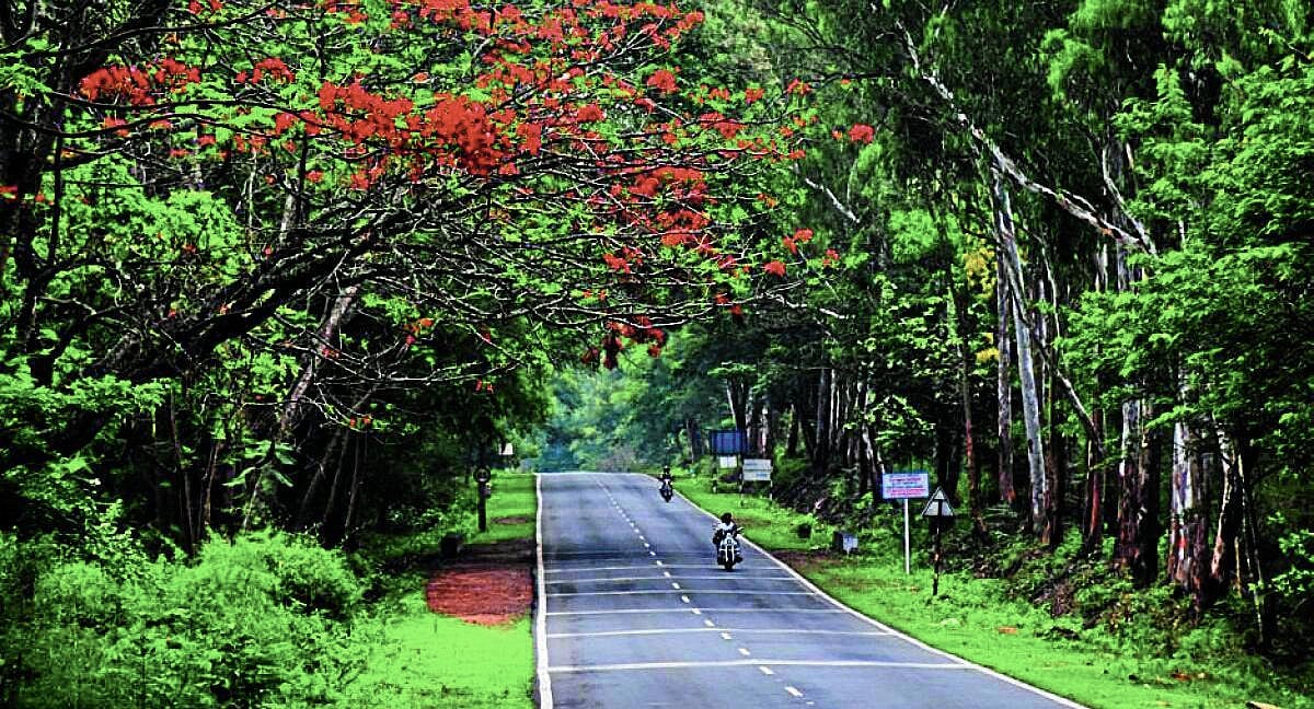 ಕ್ರಮಕೈಗೊಳ್ಳಲು ಬೇಕು ಇನ್ನೆಷ್ಟು ದಿನ: ಆನೆಕಾಡು ರಸ್ತೆ ಸುಧಾರಿಸಲು ಪತ್ರ