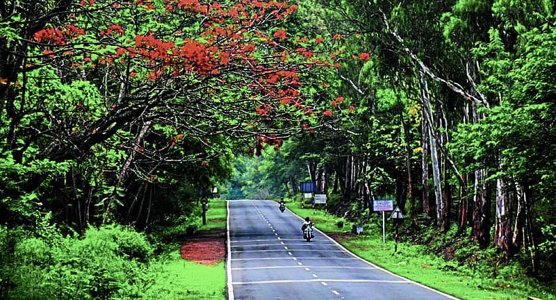 Photo from Prajavani