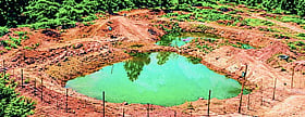 Photo: Prajavani