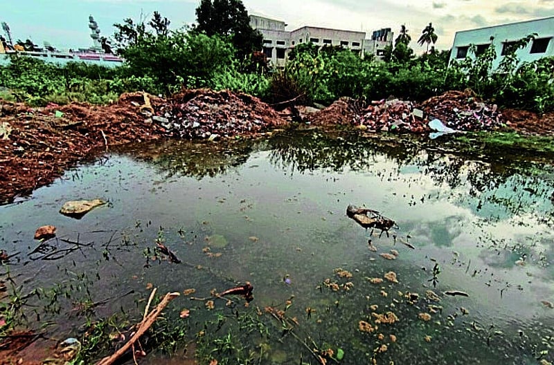 Photo from Prajavani
