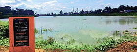 Photo: Prajavani