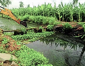 Photo: Prajavani
