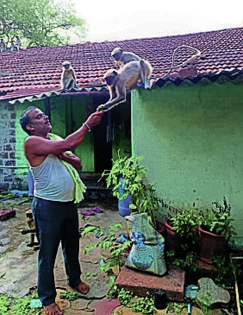 Photo from Prajavani