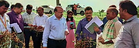 Photo: Prajavani