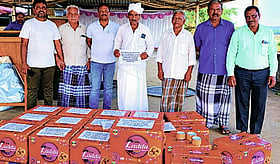 Photo: Prajavani