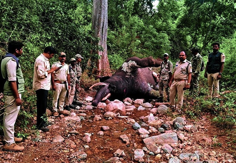 Photo from Prajavani