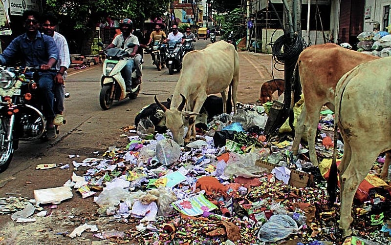 Photo from Prajavani