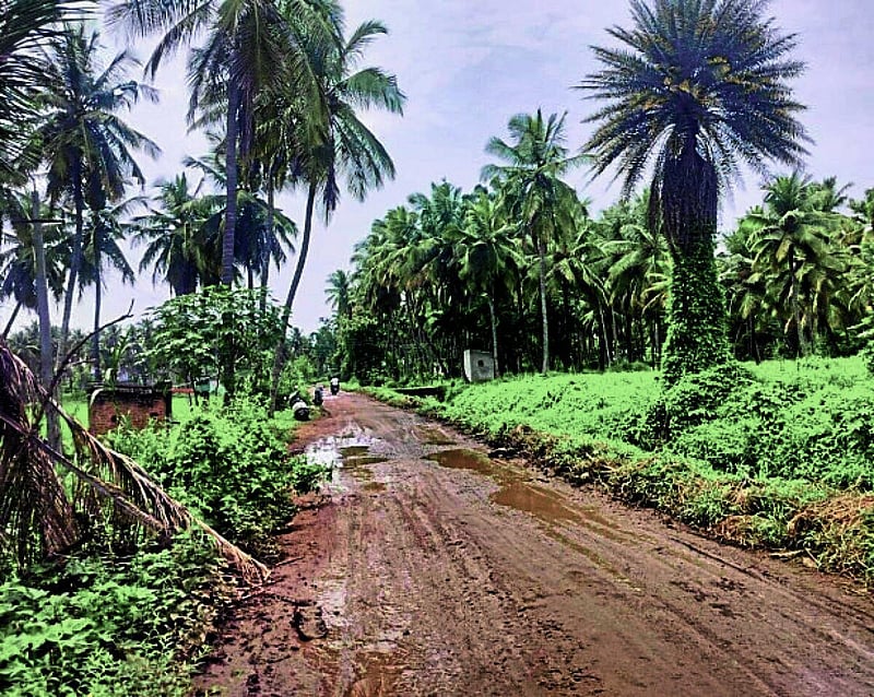 Photo from Prajavani