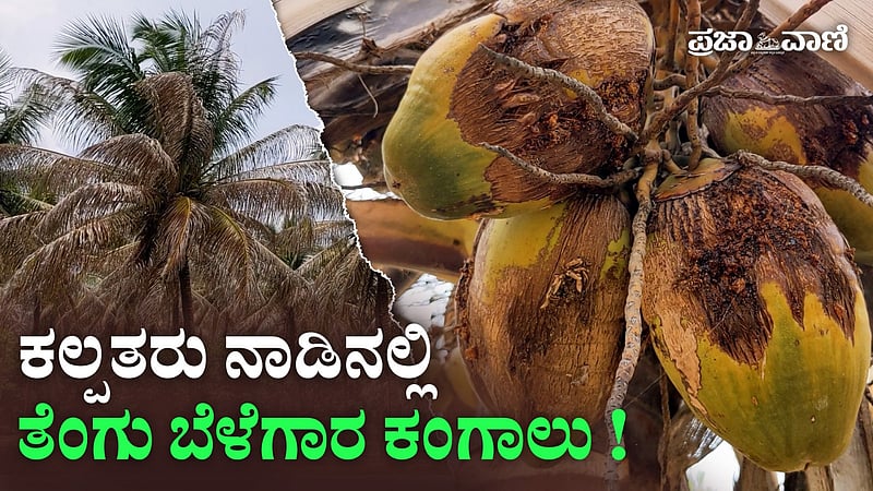 Photo from Prajavani