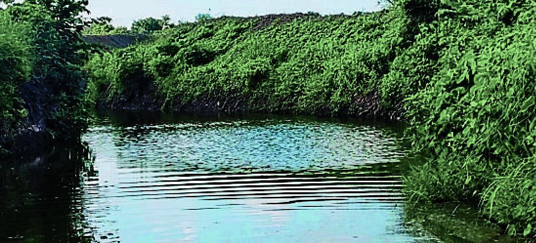 ಔರಾದ್ | ಬರದ ನಡುವೆ ಕೈಹಿಡಿದ ಚೆಕ್‌ಡ್ಯಾಂ: ಅಂತರ್ಜಲ ಹೆಚ್ಚಳ