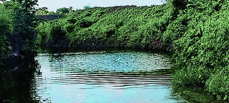 Photo from Prajavani