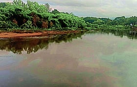 Photo: Prajavani