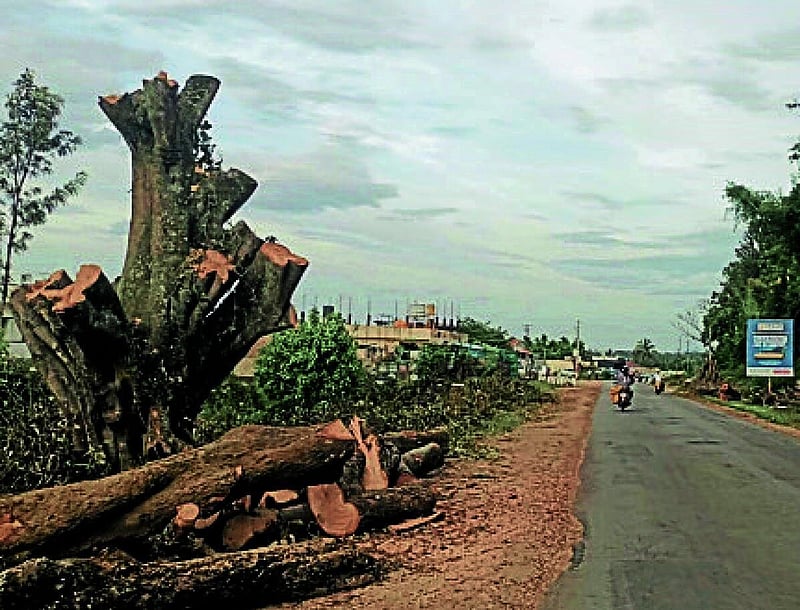 Photo from Prajavani