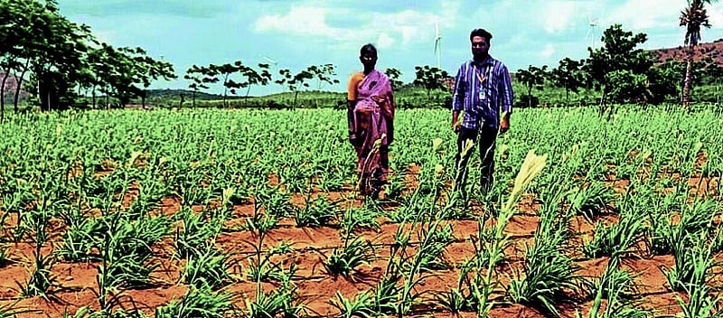 Photo from Prajavani