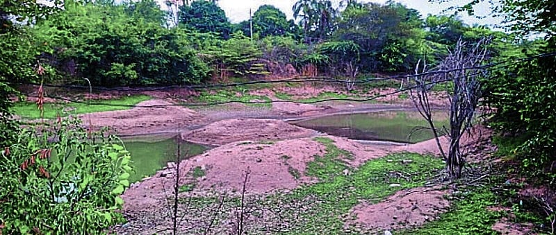 Photo from Prajavani