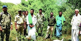 Photo: Prajavani