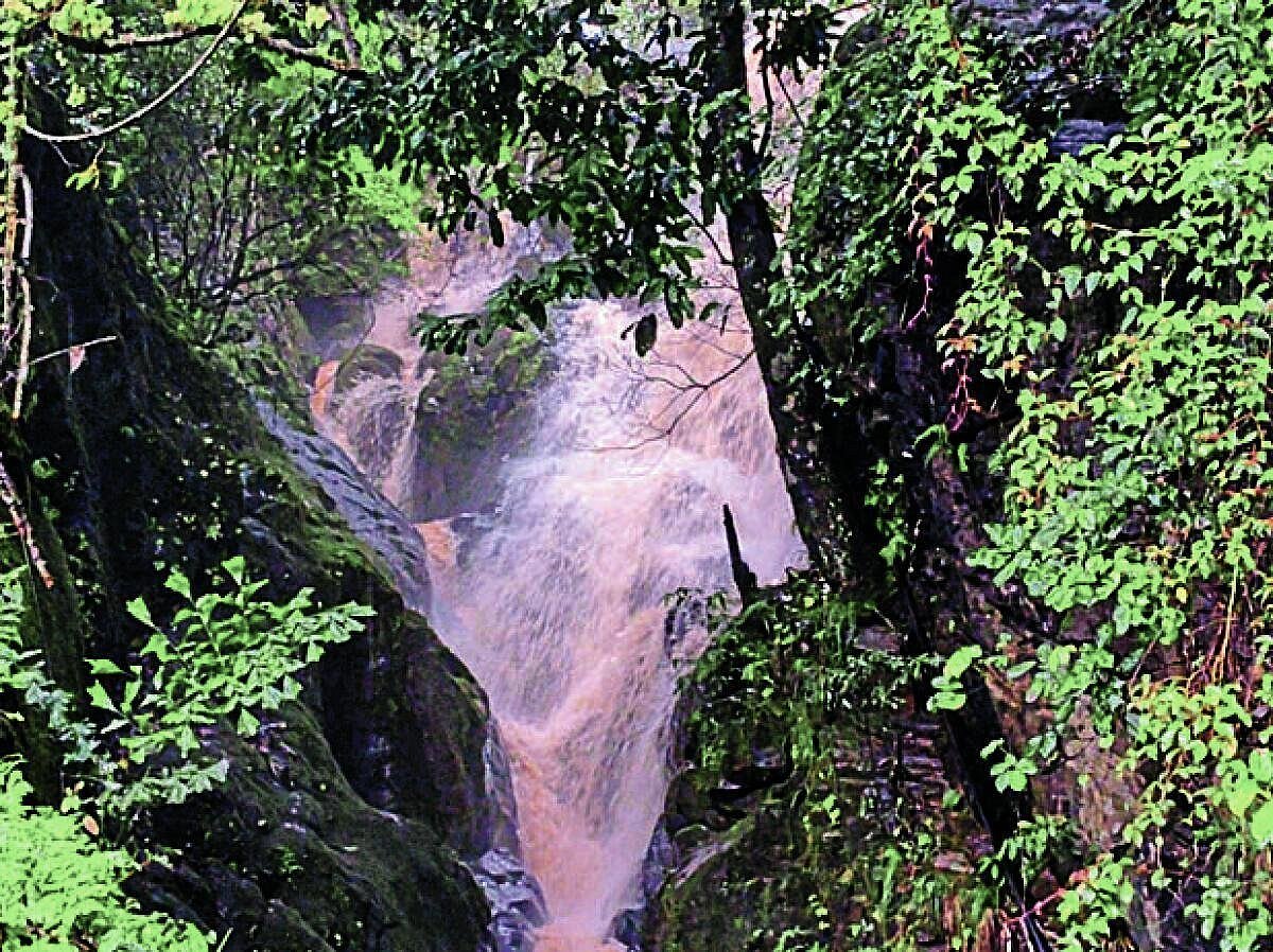 ಕೊಡಗಿನ ಹಲವೆಡೆ ಉತ್ತಮ ಮಳೆ