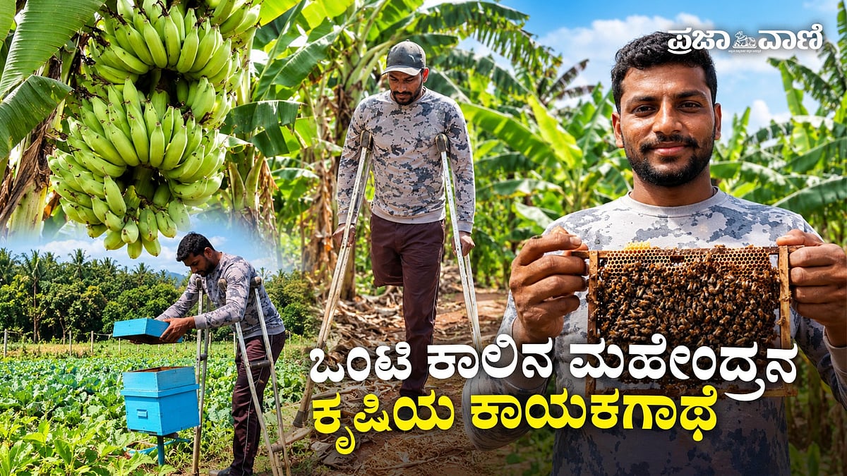 VIDEO: ಒಂಟಿ ಕಾಲಿನ ಮಹೇಂದ್ರನ ಕೃಷಿಯ ಕಾಯಕಗಾಥೆ