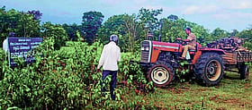 Photo: Prajavani