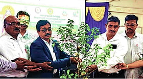 Photo: Prajavani