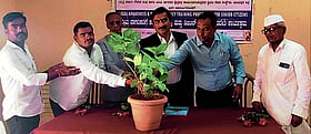 Photo: Prajavani