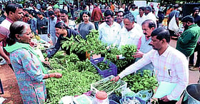 Photo: Prajavani