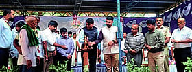 Photo: Prajavani