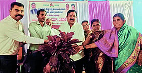 Photo: Prajavani
