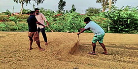Photo: Prajavani