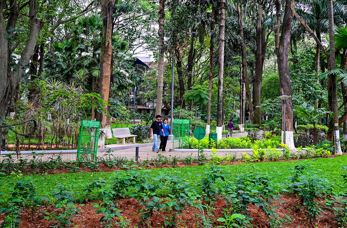 Defence Colony Park in Indiranagar showcases sustainable model garden features