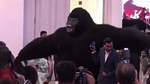 Gorilla craze takes over Bengaluru festivals, drawing crowds at Ganesh Visarjan and Navaratri events