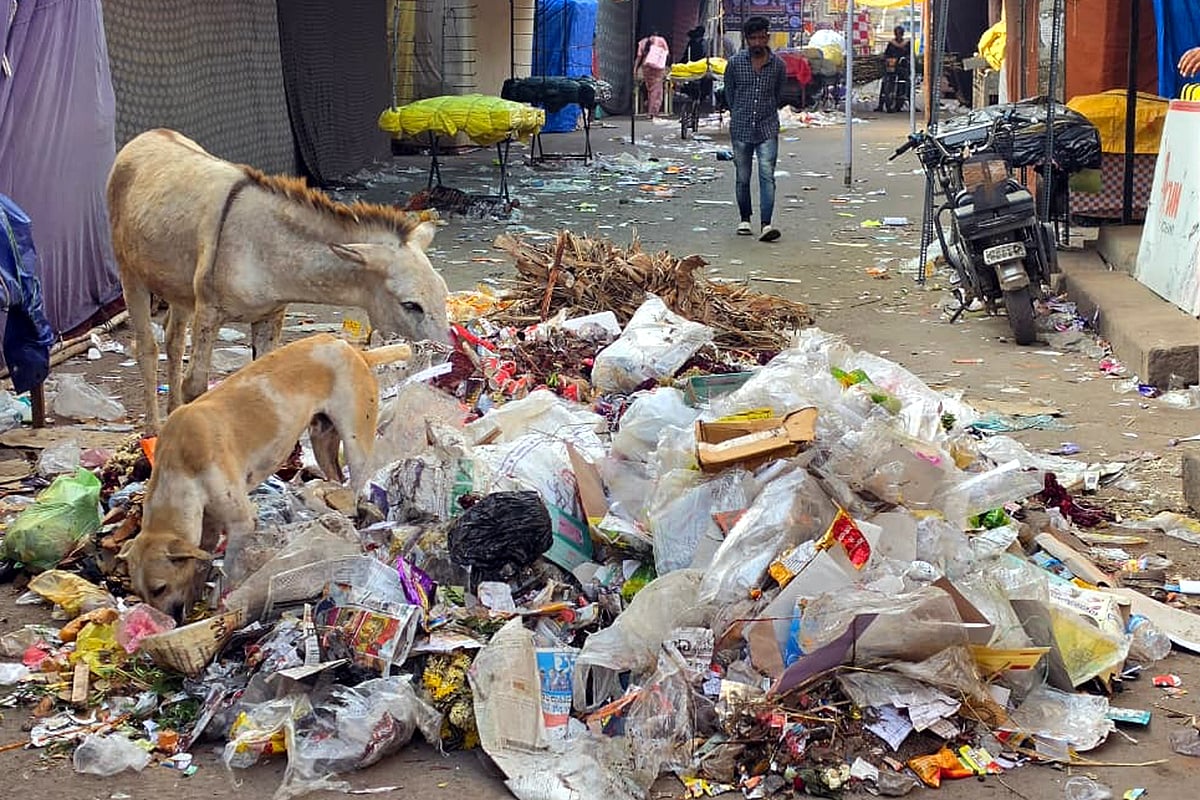 Government approves tender packages for solid waste management at over ₹350 crore