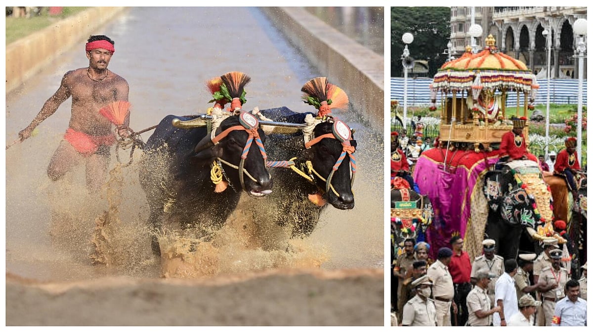 ತೀವ್ರ ಬರದ ನಡುವೆಯೇ ತುಳುನಾಡಿನ ಘನತೆ ಉಳಿಸಿಕೊಳ್ಳುವ ಸಂಕಷ್ಟದಲ್ಲಿ ಕಂಬಳ !