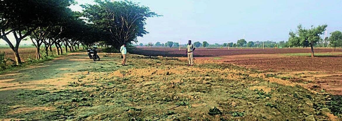 ಗಜೇಂದ್ರಗಡ ಸಮೀಪ ಪವನ ವಿದ್ಯುತ್‌ ಫ್ಯಾನ್‌ಗಾಗಿ ಮರಗಳ ಹನನ