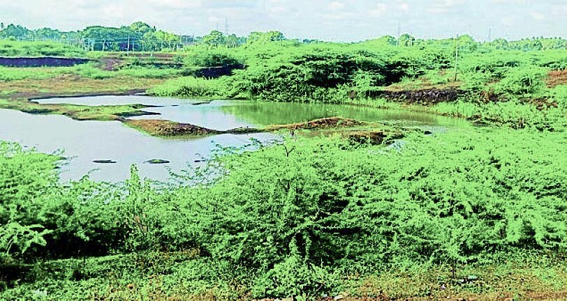 ನರೇಗಲ್:‌ ಐತಿಹಾಸಿಕ ಹಿರೇಕೆರೆಗೆ ಅಸ್ತಿತ್ವದ ಭೀತಿ