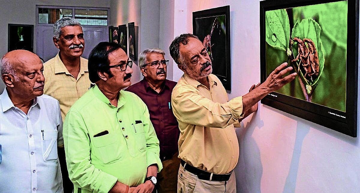 Exhibition of the World of Ants and Insects Opens at Chitrakala Parishat