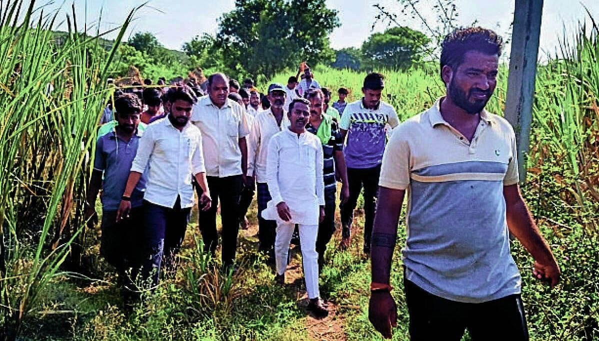 20 acres of sugarcane burned due to electrical short circuit near Kuḷagēri Cross