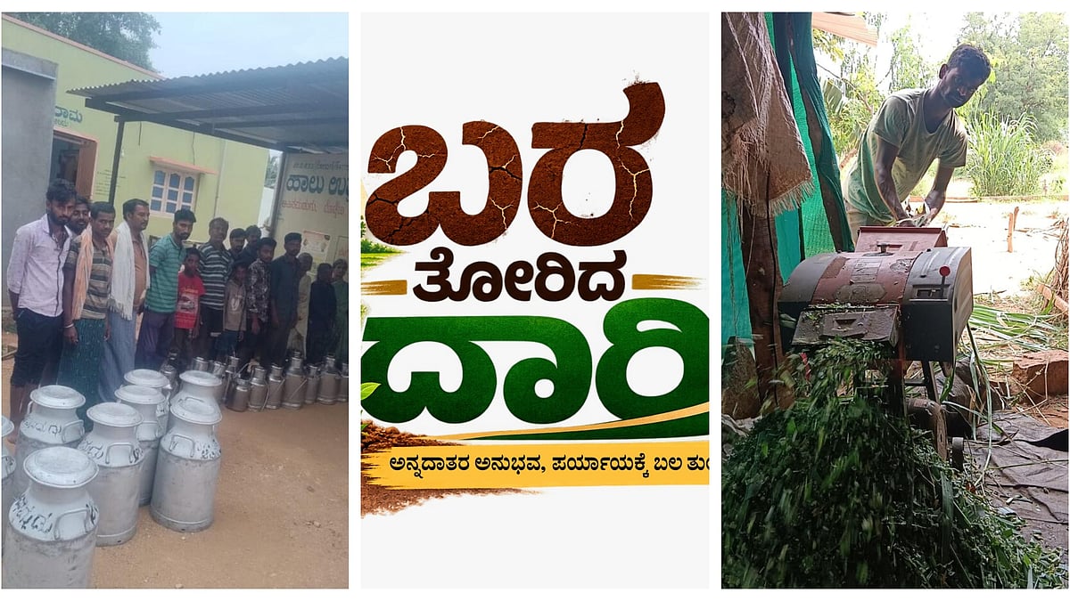 ಬರ ಇದ್ದರೂ ಈ ರೈತರಲ್ಲಿ ಬತ್ತದ ಉತ್ಸಾಹ: ಹೂವಿನ ಜತೆಗೆ ಹಾಲಿನಿಂದಲೂ ಹೆಚ್ಚಿನ ಆದಾಯ