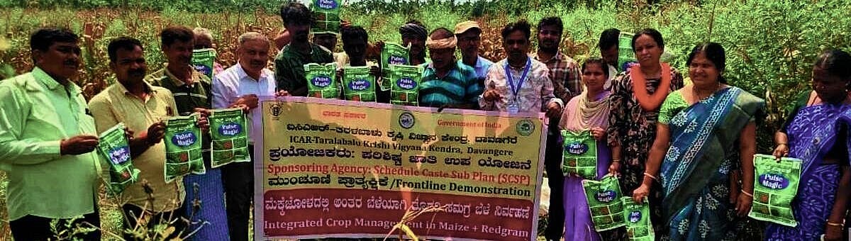 ಇಳುವರಿ ವೃದ್ಧಿಸಲು ಪಲ್ಸ್ ಮ್ಯಾಜಿಕ್ ಸಿಂಪರಣೆ ಅತ್ಯಂತ ಉಪಯುಕ್ತ: ತಜ್ಞರ ಸಲಹೆ