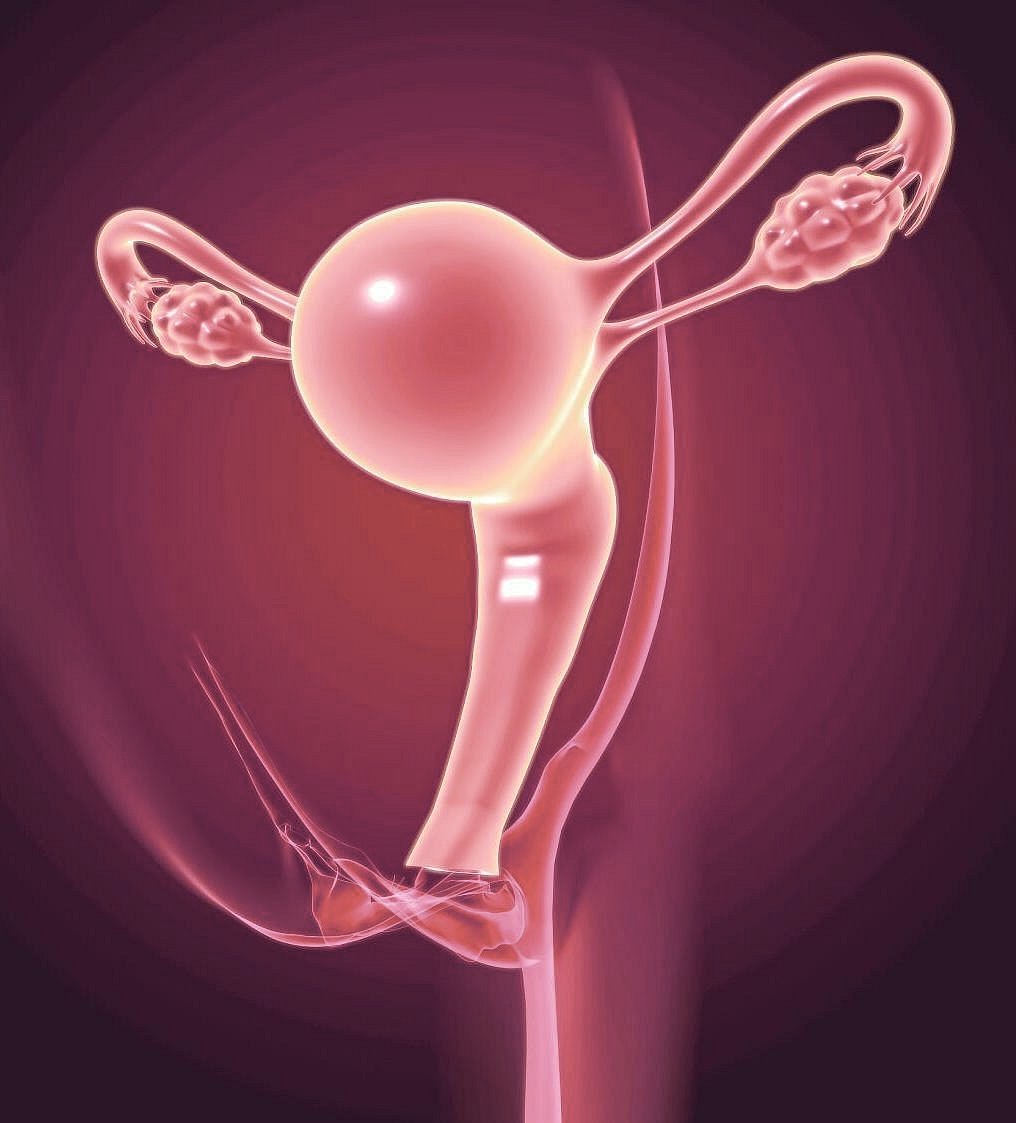 ಬೆಂಗಳೂರಿನ 32 ವರ್ಷದ ಮಹಿಳೆಗೆ ಯಶಸ್ವಿ IVF ಚಿಕಿತ್ಸೆಯಿಂದ ತಾಯ್ತನದ ಕನಸು ಸಾಕಾರ