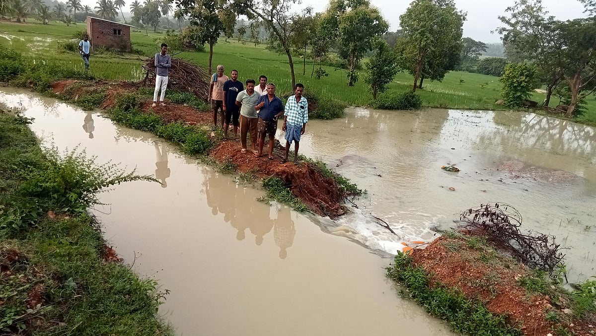 ಭಾರಿ ಮಳೆಗೆ ಒಡೆದ ನಾಲೆ