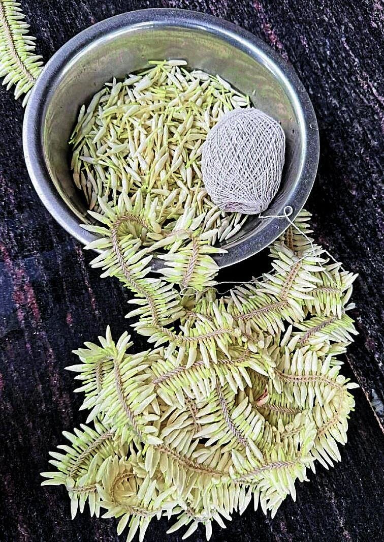 ವ್ಯಾಪಾರಿಗಳ ಬದುಕನ್ನೂ ಹೊತ್ತು ಗಡಿದಾಟಿದ ಭಟ್ಕಳ ಮಲ್ಲಿಗೆ ಕಂಪು