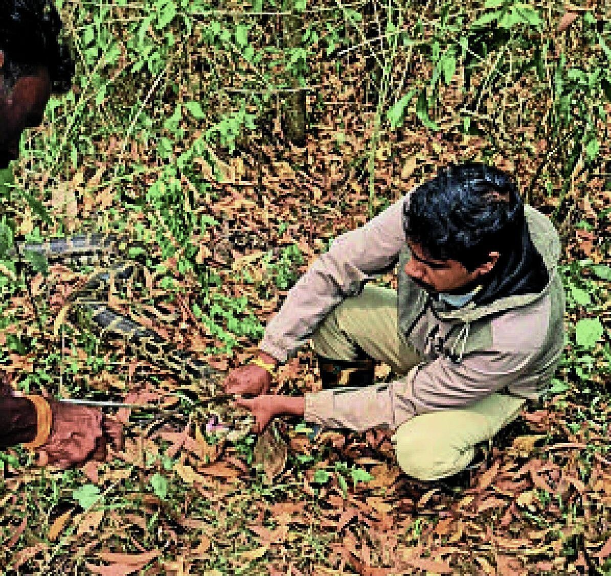 ಮುಂಡಗೋಡದಲ್ಲಿ ಬಲೆಗೆ ಸಿಲುಕಿದ್ದ 12 ಅಡಿ ಹೆಬ್ಬಾವು ರಕ್ಷಣೆ