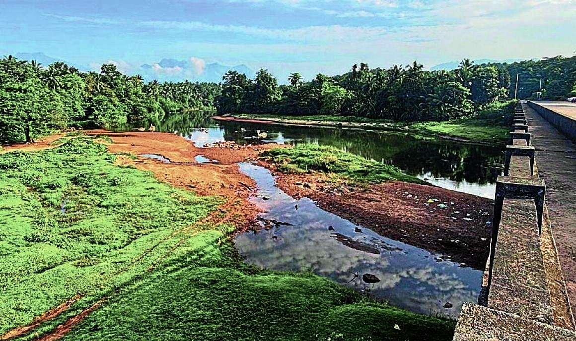 ನೀರಿಲ್ಲದೆ ಕಳೆಗುಂದಿವೆ ನೇತ್ರಾವತಿ ಉಪನದಿಗಳು: ರೈತರಲ್ಲಿ ಆತಂಕ