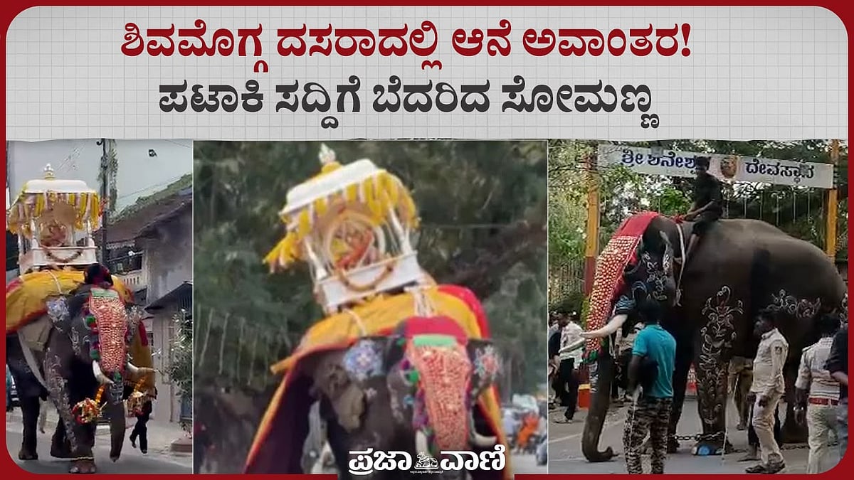 VIDEO| ಶಿವಮೊಗ್ಗ ದಸರಾದಲ್ಲಿ ಆನೆ ಅವಾಂತರ; ಪಟಾಕಿ ಸದ್ದಿಗೆ ಬೆದರಿದ ಸೋಮಣ್ಣ