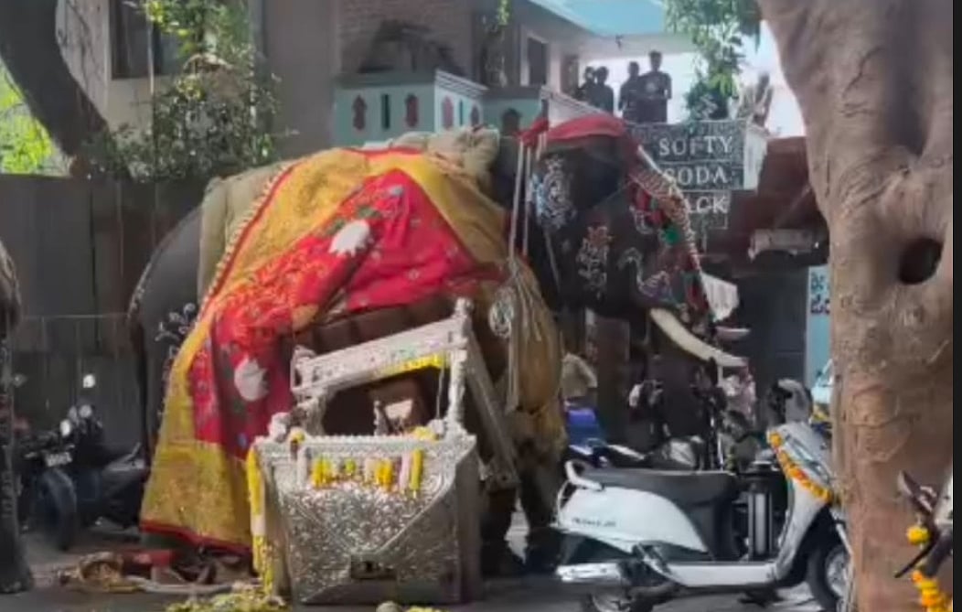 ಶಿವಮೊಗ್ಗ ದಸರಾ ಮೆರವಣಿಗೆ: ಅರವಳಿಕೆ ಮದ್ದು ನೀಡಿ ಸೋಮಣ್ಣ ಆನೆಯ ನಿಯಂತ್ರಣ