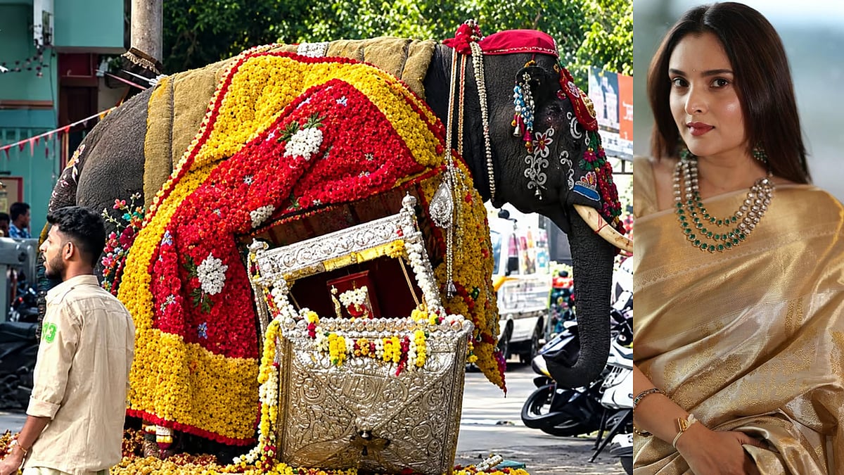ಶಿವಮೊಗ್ಗ ದಸರಾ ಜಂಬೂಸವಾರಿ ಅವಘಡ | ಆನೆಗೆ ಆರೈಕೆಯ ಅಗತ್ಯವಿತ್ತು: ನಟಿ ರಮ್ಯಾ