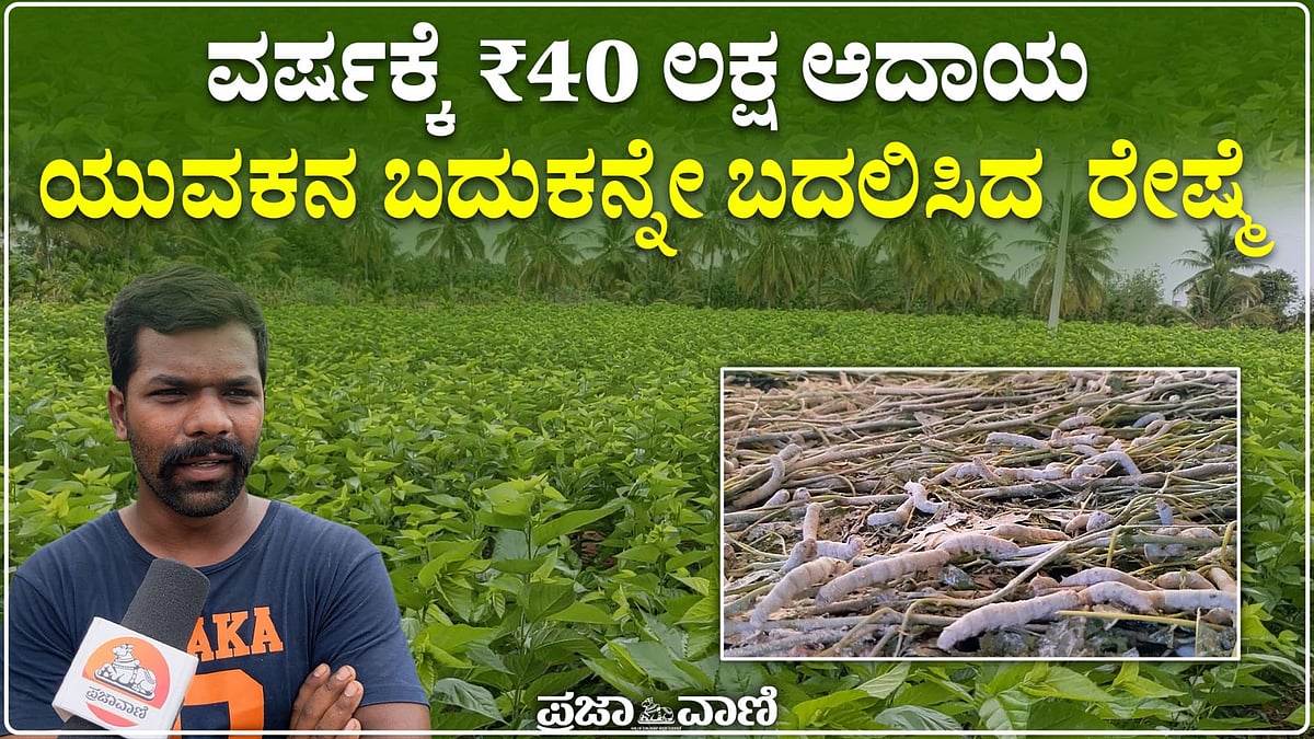 Video | ವರ್ಷಕ್ಕೆ ₹40 ಲಕ್ಷ ಆದಾಯ; ಬದುಕನ್ನೇ ಬದಲಿಸಿದ ರೇಷ್ಮೆ